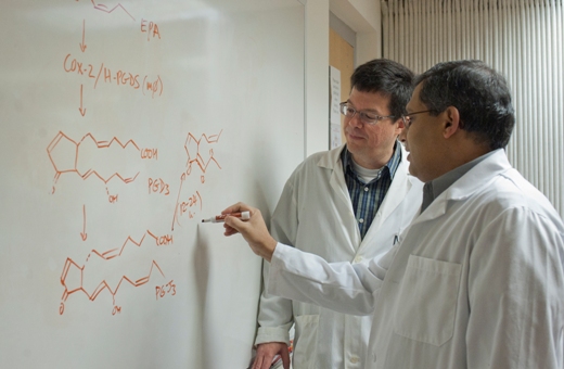 Сандип Прабху (Sandeep Prabhu) (справа) и Роберт Полсон (Robert Paulson) за разработкой соединения дельта-12-простагландин J3 (D12-PGJ3). Это соединение, полученное из рыбьего жира, избирательно убивает стволовые клетки хронического миелолейкоза у мышей.