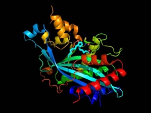 Соединение D12-PGJ2, очень близкое к D12-PGJ3, избирательно убивающему стволовые клетки хронического миелолейкоза мышей.