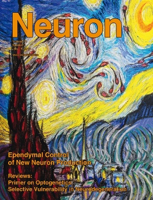 «Гистологическая» Вселенная доктора Чай Куо. «Звездная ночь» Ван Гога в его интерпретации с эпендимальными и стволовыми нейральными клетками головного мозга в качестве «персонажей» на обложке журнала Neuron.