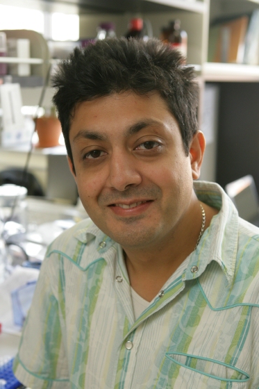 Профессор Балджит Хах (Baljit Khakh), Ph.D.