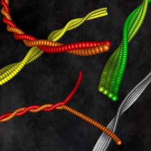 Числовые модели левозакрученных спиралей амилоидных волокон из бета-лактоглобулина