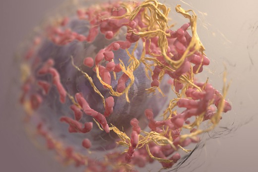 3D изображение клетки меланомы.