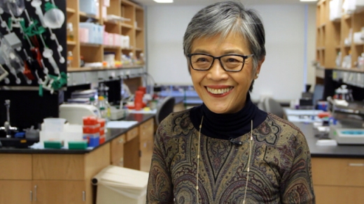 Вирджиния Ли (Virginia M. Y. Lee), PhD, директор Научно-исследовательского центра нейродегенеративных заболеваний Пенсильванского университета