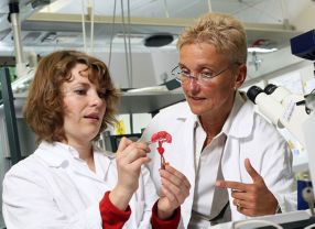 Профессор Хайке Валлес (Heike Walles) (справа) с сотрудником своей лаборатории Йоганной Шанц (Johanna Schanz)