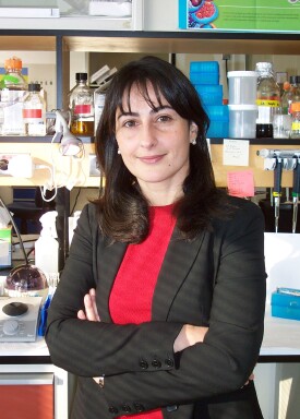 Симонетта Сипионе (Simonetta Sipione), PhD.