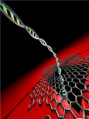 Художественное  изображение молекулы ДНК, проходящей через мельчайшее отверстие в  графеновом слое толщиной в один атом, находящемся на Si/SiN-чипе.