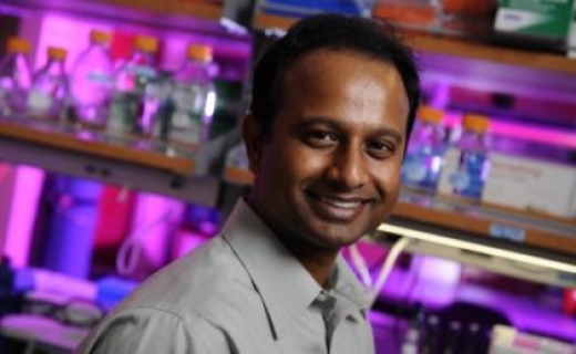 Деванджан Сикдер (Devanjan Sikder), DVM, PhD, доцент Научно-исследовательского центра диабета и ожирения Сэнфорд-Бернем.