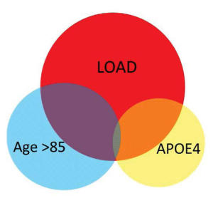 Перекрывание изменений в экспрессии генов мозга здоровых лиц, несущих вариант высокого риска APOE4, здоровых людей в возрасте старше 85 лет и пациентов с болезнью Альцгеймера с поздним началом (LOAD).