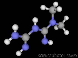 Модель молекулы метформина