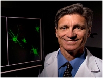 Профессор и руководитель кафедры неврологии и нейронаук Стэнфордского университета Фрэнк Лонго (Frank Longo), MD, PhD.