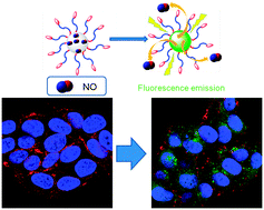 Инкапсуляция S-нитрозоглутатиона в полимерные наночастицы существенно повышает стабильность NO в водной среде без ущерба для эффективности внутриклеточной доставки. Как показали предварительные in vitro эксперименты на клетках нейробластомы, сочетание химиотерапии с нано-NO-доставкой в несколько раз повышает противоопухолевую активность химиотерапевтических средств.