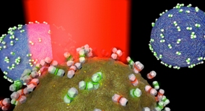 Раковые и не раковые клетки инкубируются с наночастицами-биометками, а затем анализируются с помощью света красного лазера. Биометки связаны с поверхностью клеток. Биометки со светящейся  красным серединой указывают на присутствующие на поверхности клетки биомаркеры рака; светящиеся зеленым – стандартные биометки, связывающиеся со многими типами клеток. На раковых клетках наблюдается высокое соотношение красного к зеленому.