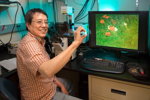 Профессор Лаборатории биологии пептидов Фонда Клейтона Kо-Фэнь Ли (Kuo-Fen Lee), PhD.