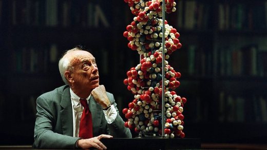 Лауреат Нобелевской премии доктор Джеймс Уотсон (James Watson) у модели молекулы ДНК – ключа к жизни. Он и Фрэнсис Крик (Francis Crick) являются первооткрывателями структуры ДНК – двойной спирали.