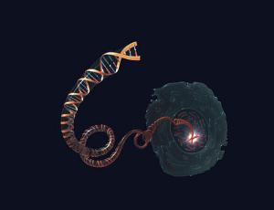 Молекула ДНК, раскручивающаяся из хромосомы внутри ядра клетки.