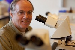 Профессор молекулярной генетики Ханс Клеверс (Hans Clevers).