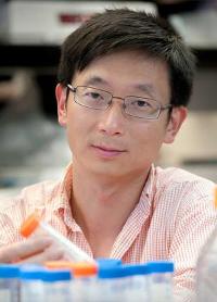 Старший научный сотрудник Института Гладстона Шэн Дин (Sheng Ding), PhD, профессор фармацевтической химии Калифорнийского университета, Сан-Франциско.