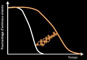 Продолжительности жизни животных, находившихся на низкокалорийной диете (оранжевая кривая), по сравнению с продолжительностью жизни животных, получавших неограниченное питание (белая кривая). Стероидный гормон дафахроновая кислота, производное холестерина (изображен оранжевым между двумя кривыми), вырабатывается при низкокалорийной диете и необходим для увеличения продолжительности жизни.