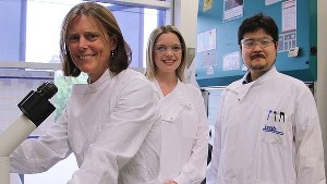 Группа  ученых, вырастивших мини-почку из стволовых клеток: профессор Мелисса  Литтл, д-р Джессика Вансламбрук (Jessica Vanslambrouck) и д-р Минору  Такасато (Minoru Takasato).