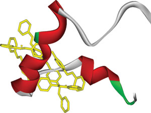 Цилиндрический супермолекулярный комплекс (желтый) взаимодействует с центральной областью β-амилоидного пептида (зелено-бело-красная лента), специфически подавляя его способность к полимеризации.