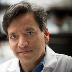 Профессор Калифорнийского университета, Сан-Франциско, Дипак Шривастава (Deepak Srivastava), MD, руководит изучением сердечно-сосудистых заболеваний и стволовых клеток в UCSF-аффилированном Институте Гладстона. Он и его коллеги идентифицировали генетический «коктейль», трансформирующий человеческие фибробласты в клетки, способные к ритмическим сокращениям.