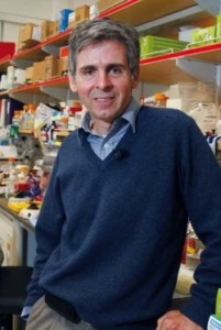 Профессор нейрохирургии Артуро Альварес-Буйлла (Arturo Alvarez-Buylla), PhD. Открытая его группой неожиданно высокая степень выживания эмбриональных нейронов, пересаженных в мозг новорожденных мышей, дает надежду на возможность трансплантации нейронов для лечения таких заболеваний, как болезни Альцгеймера, Хантингтона, Паркинсона, эпилепсия и шизофрения.