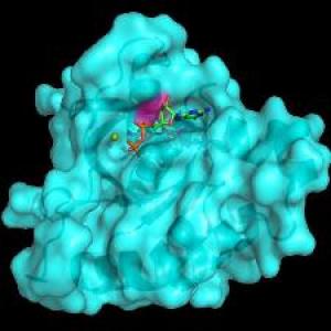 ROP-белок, связанный с молекулой GDP.  Окрашенная розовым область указывает место взаимодействия с молекулой жира.